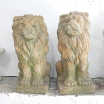 A pair of terracotta lion statues. 34x80x38cm. Generally good condition. Nicely weathered. Some