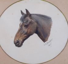 Celia Beresford, portrait of a horse, watercolour, signed and dated 1877, 22cm x 25cm, framed