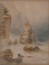 G H Beck, birds on the cliffs, signed and dated 1903, 58cm x 45cm, framed Even paper discolouration,