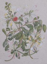 Everill, botanical study, watercolour on handmade paper, signed, 36cm x 26cm, framed Good condition