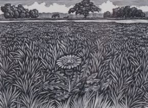 Michael Renton (1934-2001), signed wood engraving on paper, Walden VIII , 5.5cm x 7.8cm., signed and