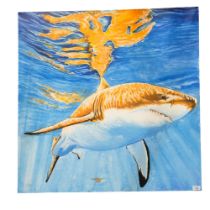 Clive Fredriksson, oil on canvas, shark study, 90cm x 90cm