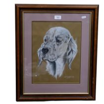 L Woolford, pastels, study of an English Setter, 50cm x 60cm overall, framed