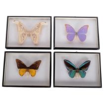 TAXIDERMY - 4 mounted tropical butterflies in glazed cases, W24cm