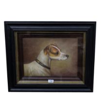 Oil on canvas, study of a Jack Russell, unsigned, 50cm x 60cm overall, in glazed frame