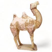 Chinese Tang Dynasty pottery Bactrian camel (618 - 906 AD), the body painted with original pigment