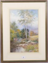 Fred Shaw, cattle in a stream, watercolour, signed, 52cm x 34cm, framed Good original condition