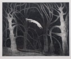Flora McLachlan, Moon Wood, etching, signed in pencil, no. 12/20, image 20cm x 25cm, mounted Good