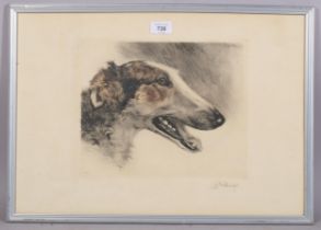 Kurt Meyer-Eberhardt (1895 - 1977), Borzoi dog, coloured etching, signed in pencil, plate 24cm x