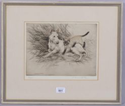 George Vernon Stokes, Bull Terrier and Siamese cat, coloured etching, signed in pencil, plate 20cm x