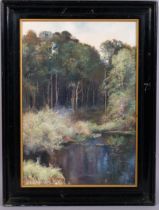 Early 20th century English School, wooded lake scene, oil on canvas, unsigned, 51cm x 36cm, framed