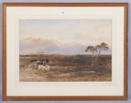 Edward Tucker (1830-1909), watercolour on paper, Moorland with Distant Mountains, 35.5cm x 53cm,