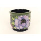 Moorcroft 'Anemone Tribute' small fern pot, circa 2003, designed by Emma Bossons, height 9cm