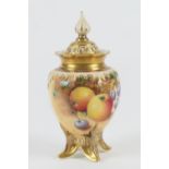 Royal Worcester fruit decorated pot pourri jar, ovoid form decorated with apples and cherries, black
