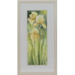 Judi Trevorrow (Contemporary), Yellow Irises, watercolour, signed, 71cm x 26cm (NB: Condition is NOT