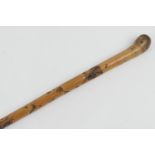 Japanese carved bamboo walking cane, Meiji (1868 - 1912), the length carved with snakes emerging