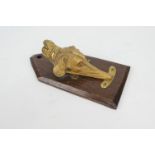 Victorian gilt ormolu hound's head paperclip mounted on an oak panel, 14cm (NB: Condition is NOT