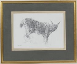 John Edwards (Contemporary), 'Lynx', pencil drawing, signed, inscribed to a label verso, 24cm x 34cm
