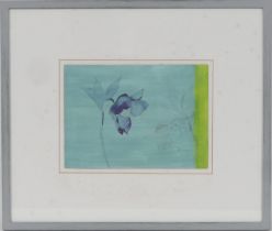Sue Hunt (b.1959), 'Hellebore', silver point and watercolour on card, inscribed verso, 16cm x 22cm