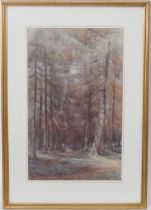 S Peal (active late 19th Century), 'The plantation', watercolour, signed, inscribed and dated