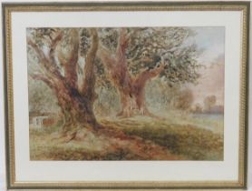 Henry Harris Lines (1801-1889), 'Old oaks, a landscape near Worcester', watercolour, signed and