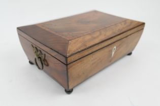 Continental mahogany box, shallow sarcophagus form with ebony line inlays and brass double headed