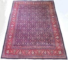 Persian Herati woollen carpet, having a deep blue field evenly dispersed with flowerheads, within