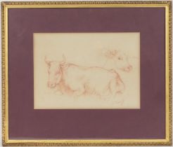Charles Frederick Tunnicliffe (1901-79), Cattle study, red chalk drawing, signed, 19cm x 27cm (