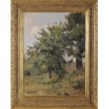 SILVA PORTO - 1850-1893 Landscape with oaks