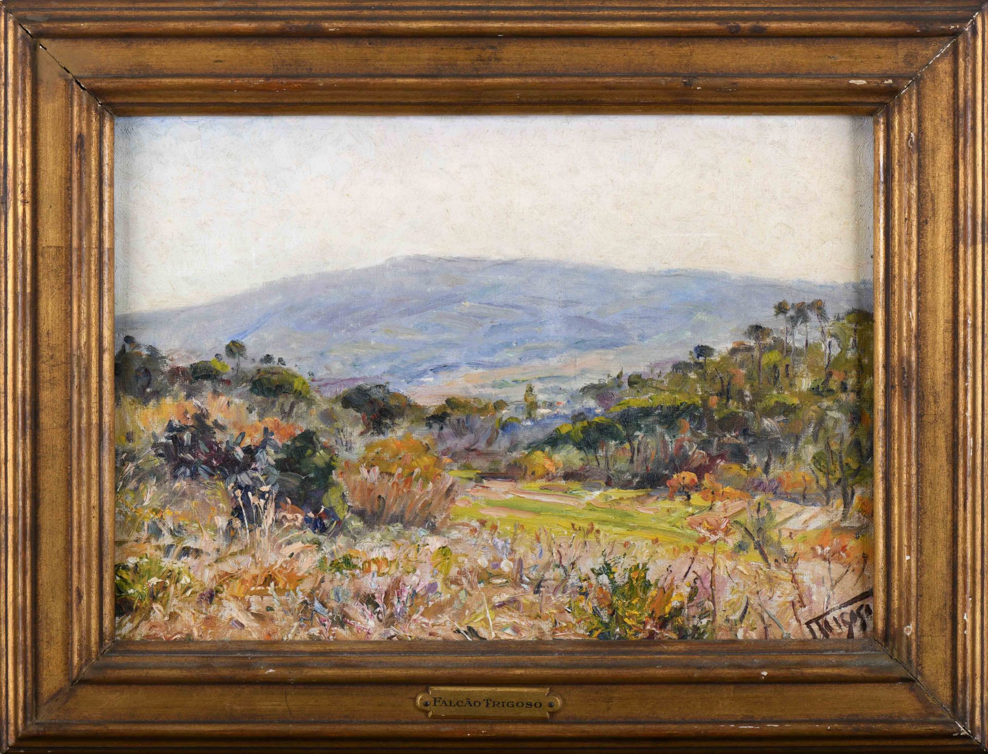 FALCÃO TRIGOSO - 1879-1956 A landscape