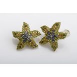 A pair of earrings "Star of the Sea"