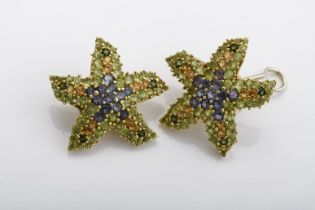 A pair of earrings "Star of the Sea"