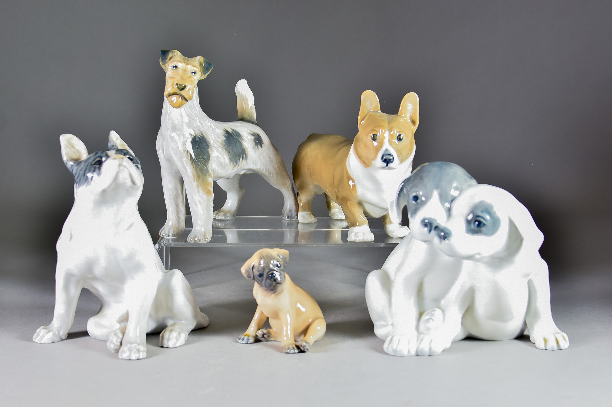 Five Royal Copenhagen Porcelain Figures - comprising - pointer puppies, No.260, 6ins high, seated