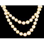 A Double Strand of Natural Pearls, 20th Century, with floral 9ct gold clasp, 440mm, total gross