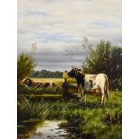 Dupont (19th Century) - Pair of oil paintings - Studies of cattle in rural landscapes, each