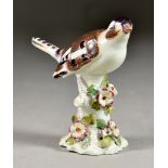 A Derby Porcelain Model of a Bird, Circa 1770, on flower encrusted tree stump, 4.25ins high