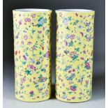 A Pair of Chinese Porcelain Sleeve Vases, 20th Century, enamelled in colours with insects and