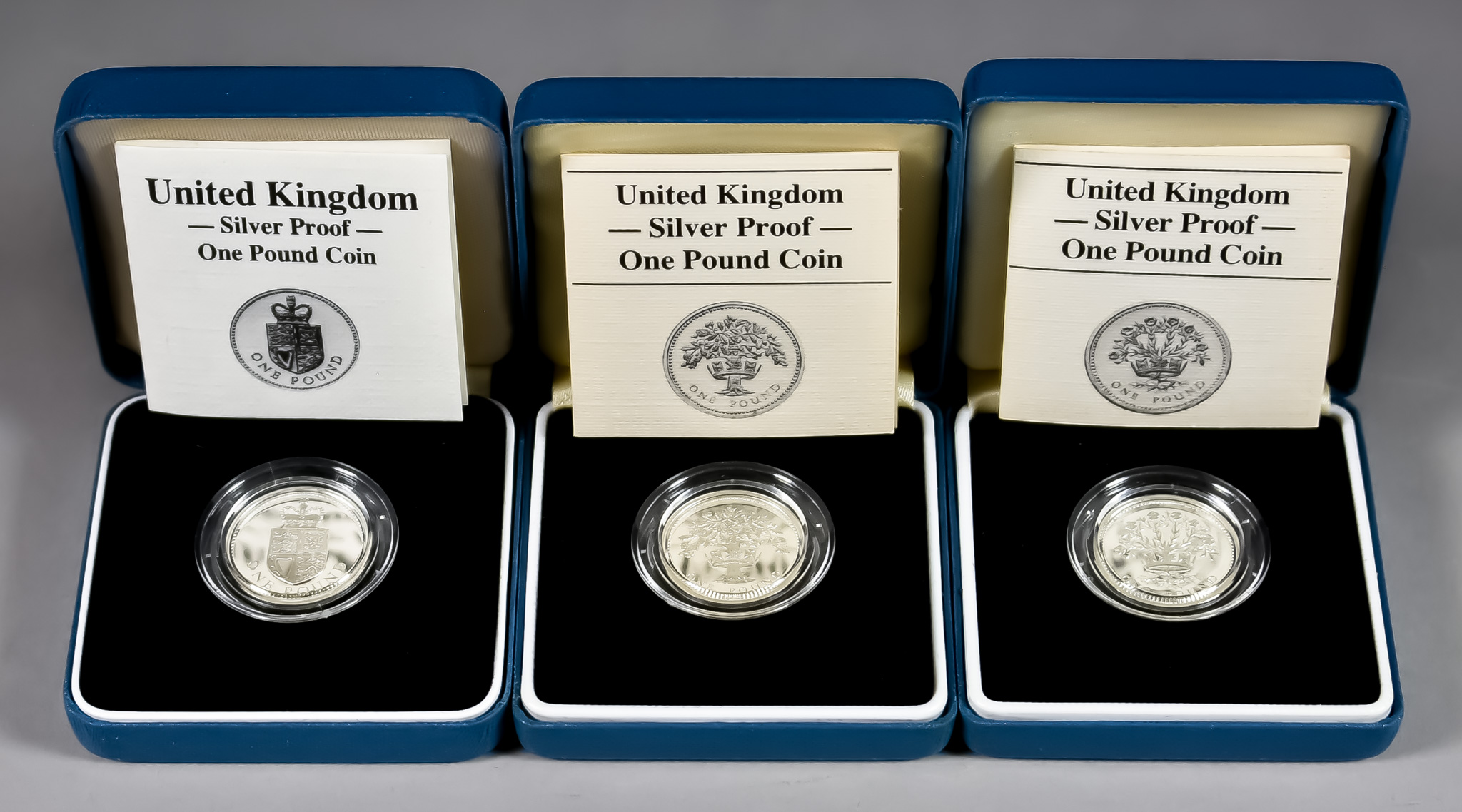 A Quantity of Elizabeth II Silver Proof and Piedfort Commemorative One Pound Coins, all with