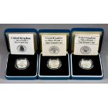 A Quantity of Elizabeth II Silver Proof and Piedfort Commemorative One Pound Coins, all with