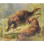 19th Century School - Oil painting - Two otters fighting over a pike on a riverbank, canvas, 19ins x