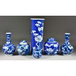 A Pair of Chinese Blue and White Porcelain Bottle Vases, 19th Century, painted with prunus