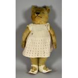 An English Teddy Bear, Early 20th Century, with golden mohair, stitched nose and mouth, 18ins