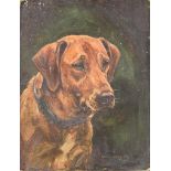 ***Frederick Thomas Daws (1878-1955) - Oil painting - "Hawkesbury Joy" - study of a Labrador,