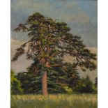 ***Frederick Thomas Daws (1878-1955) - Oil painting - Study of a tree, canvas 25ins x 20ins, in gilt