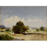 Peter Cushing (1913-1994) - Watercolour - Landscape, rural scene, unsigned, 14ins x 10.5ins, framed