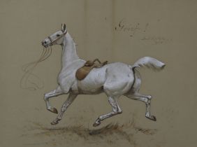 Basil Nightingale (1864-1940) - Pencil and watercolour - "Grief!", portrait of a galloping horse