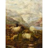 R. Iratson (Late 19th/ Early 20th Century) - Oil painting - Sheep in a mountainous highland