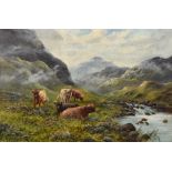 Late 19th/Early 20th Century British School - Oil painting - Highland cattle in a valley,