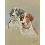 Fannie Moody (1861-1948) - Pastel - Study of the heads of two gun dogs wearing collars, 19.5ins x