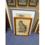 AFTER EDWARD LEAR, THREE COLOUR PRINTS OF OWLS, 21 ½” x 13 ½” (PAIR) AND SMALLER, (3)